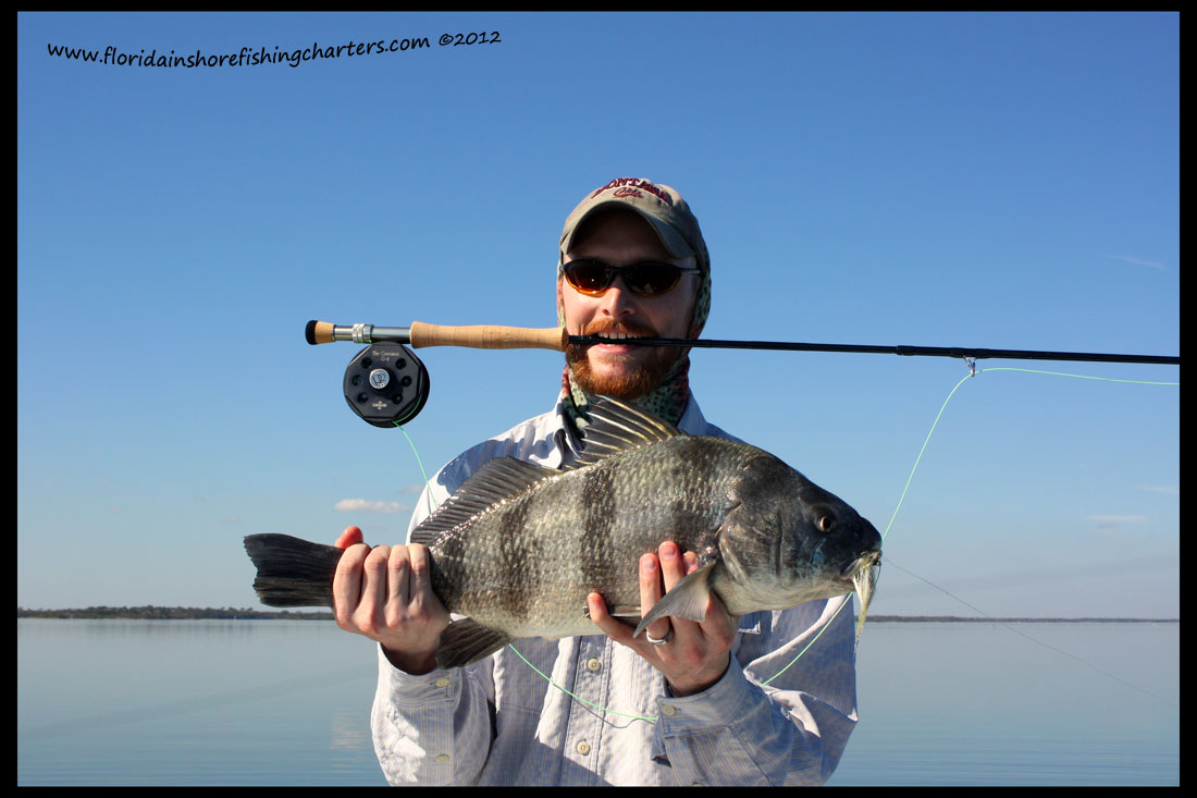 IS-black-drum-on-fly-01-12.JPG