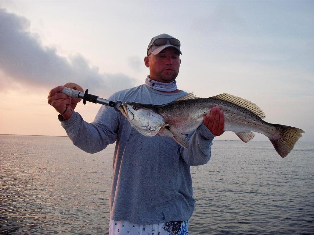 [Image: June2trout.jpg]