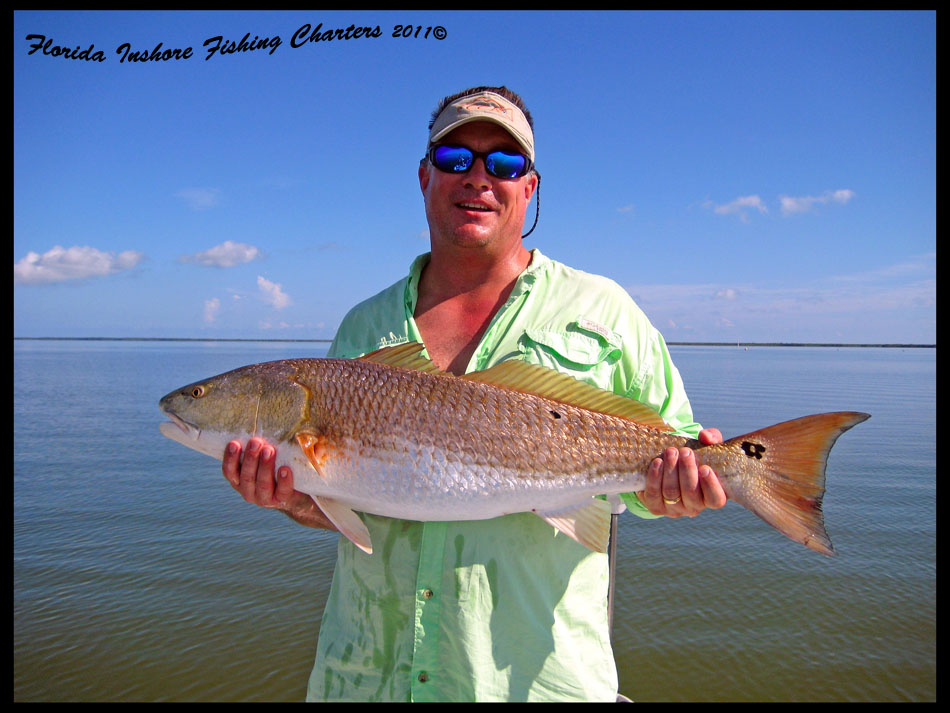 Bull Redfish