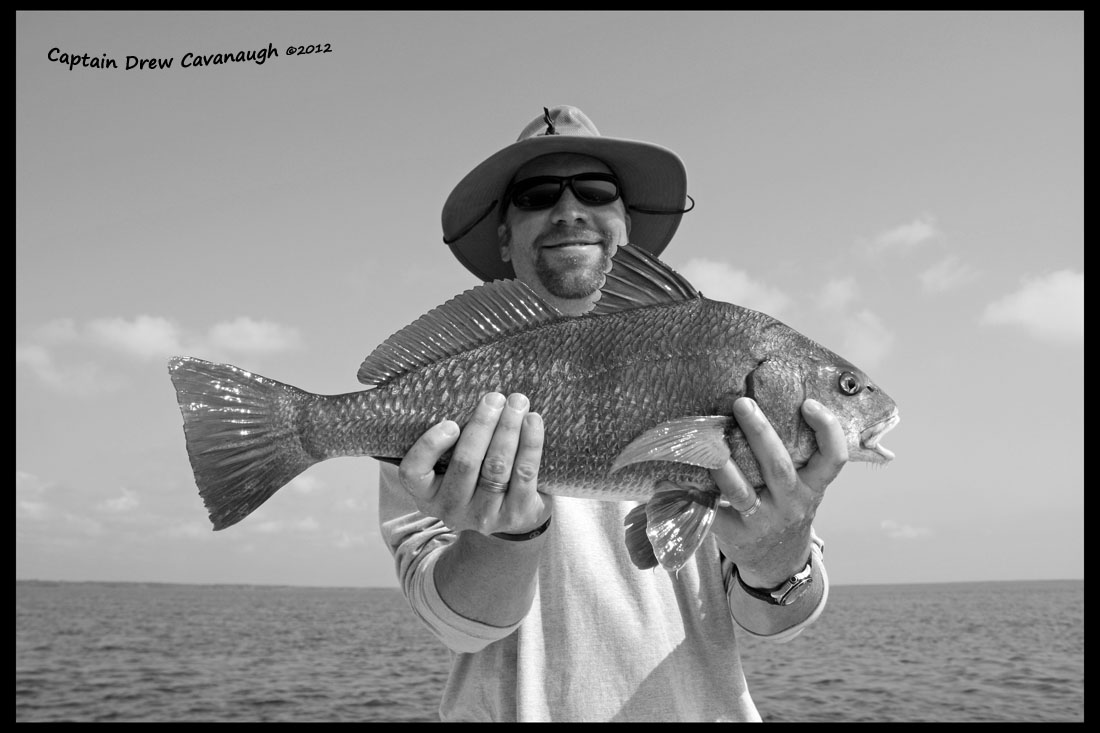 ek-mosquito-lagoon-black-drum-05-12.JPG