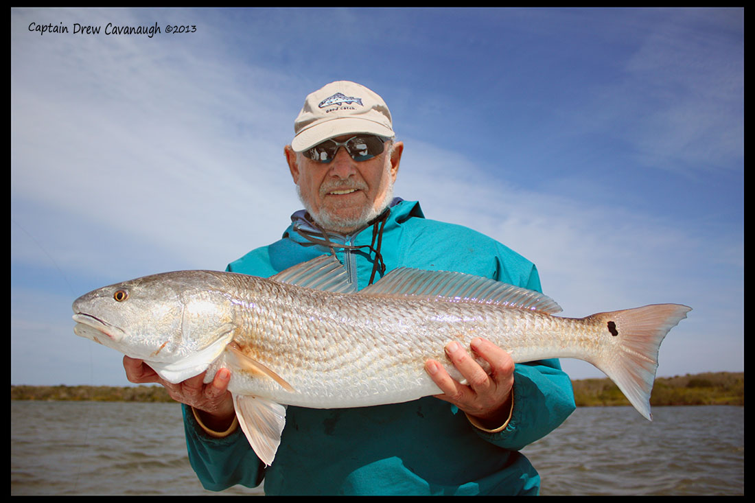 [Image: fg-red-drum-2-13.JPG]