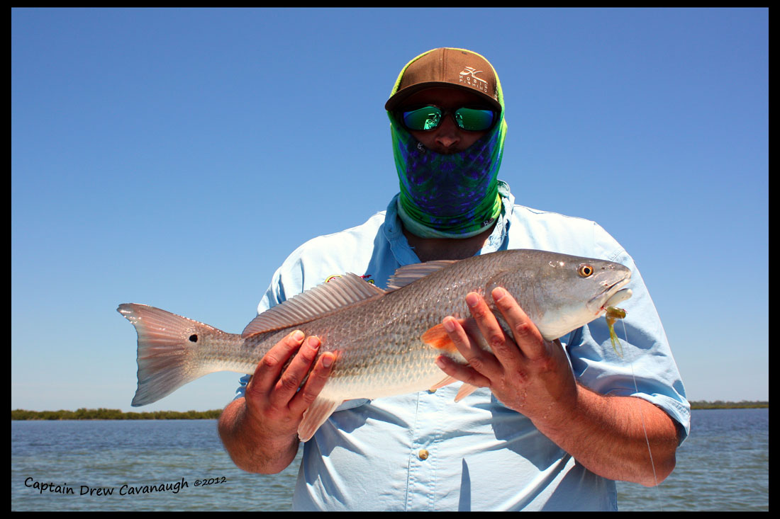 jf-light-tackle-redfish-04-12.JPG