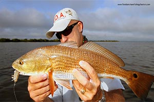 Mosquito Lagoon Redfish and DOA 2.75 Shrimp