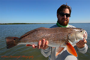 Mosquito Lagoon Florida Bull Redfish Charters