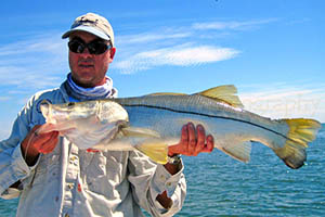 Snook Fishing New Smynra Beach Florida