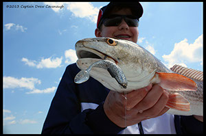 %_tempFileNamepl-doa-lures-4-13%
