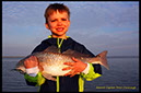 %_tempFileNamena-redfish-4-13%