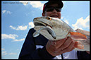 %_tempFileNamepl-doa-lures-4-13%