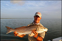 Fish Cocoa Beach