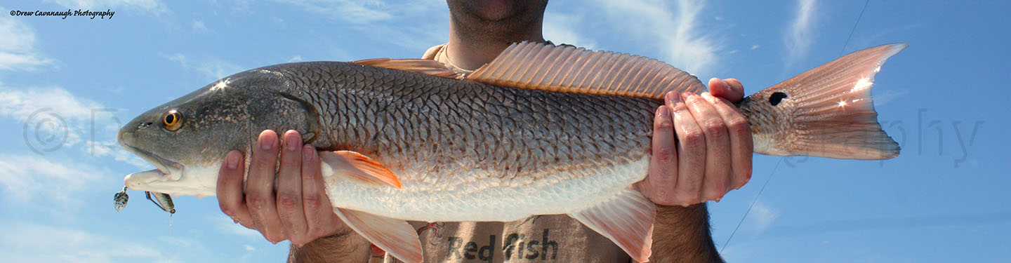 Orlando Florida Nearshore Saltwater Fishing Charters • Light Tackle