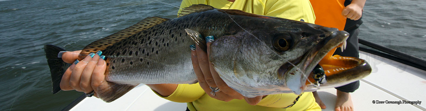 Orlando Saltwater Flats Fishing FAQS • Mosquito Lagoon Flats Fishing  Charters