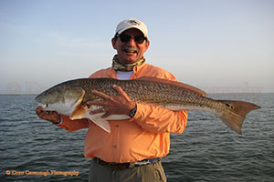 Mosquito Lagoon Redfish