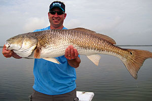 Mosquito Lagoon Bull Redfish