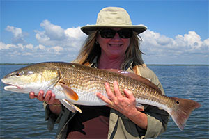 Mosquito Lagoon Florida Fishing Guide