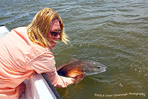 Mosquito Lagoon Red Drum