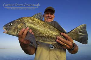 Mosquito Lagoon Black Drum Fishing New Smyrna Beach Florida