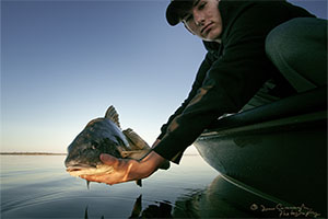 Mosquito Lagoon Black Drum Cocoa Beach Florida