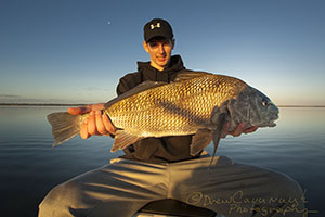 Mosquito Lagoon Black Drum