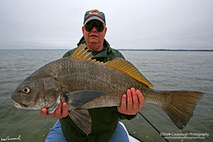 Indian River Black Drum