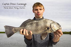 Titusville Florida Black Drum Fishing Charters