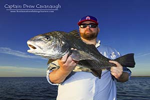 Cocoa Beach Florida Flats Fishing For Black Drum