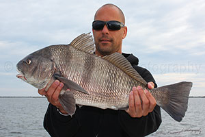 Titusville Florida Black Drum Fishing Charters