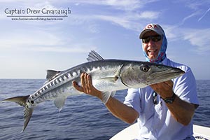 Ponce Inlet Florida Barracuda fishing Trips