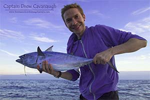 False Albacore Tuna