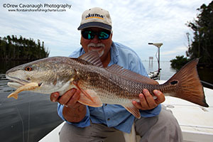 Mosquito Lagoon Redfish