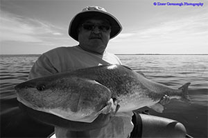 Giant Red Drum Caught on the Mosquito Lagoon