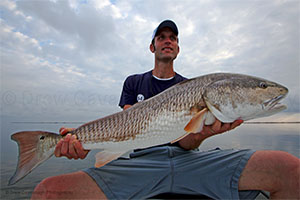 Mosquito Lagoon Bull Redfish