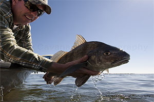 Indian River Black Drum