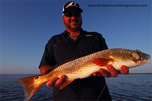 Mosquito Lagoon Flats Fishing