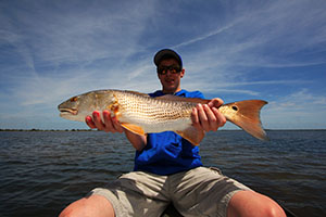 Beautiful Central Florida Red Drum
