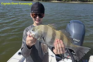 Light Tackle Saltwater Fishing Charters Near Orlando Florida