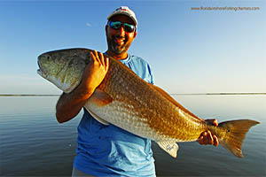 Mosquito Lagoon Redfish