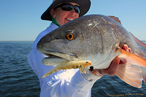 DOA Lures Mosquito Lagoon Redfish