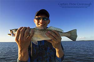 New Smyrna Bech Florida Seatrout