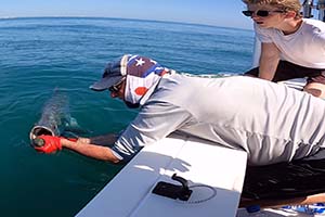 Light Tackle Backcountry Florida Tarpon Fishing