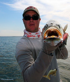 Florida Spotted Seatrout Mosquito Lagoon